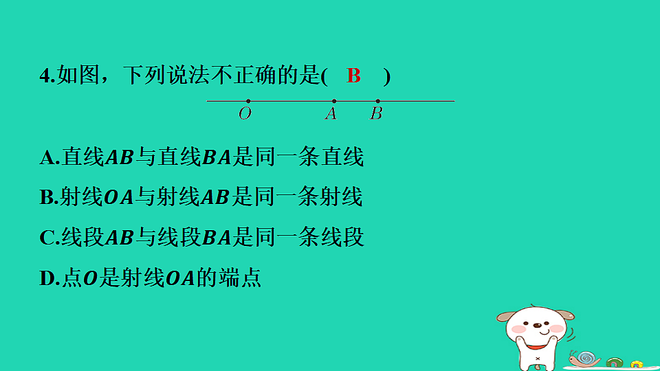 17558500第6页