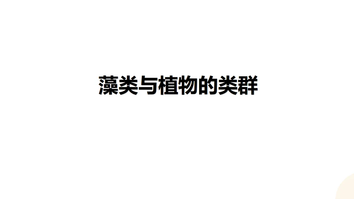 17559615第1页