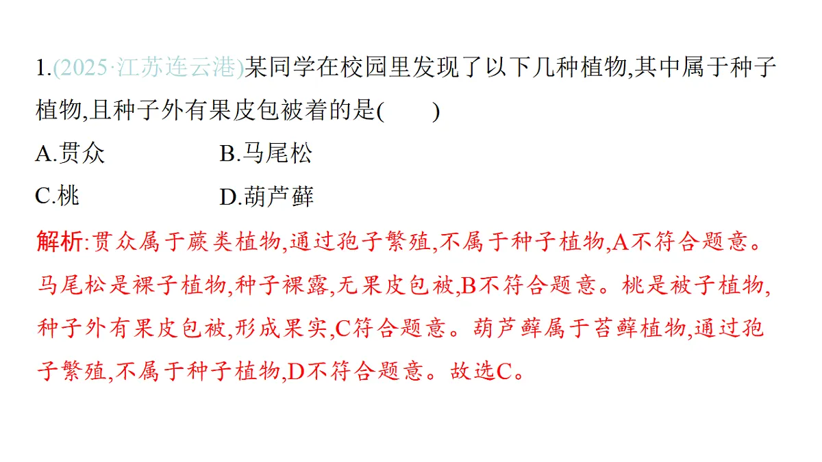 17559615第3页