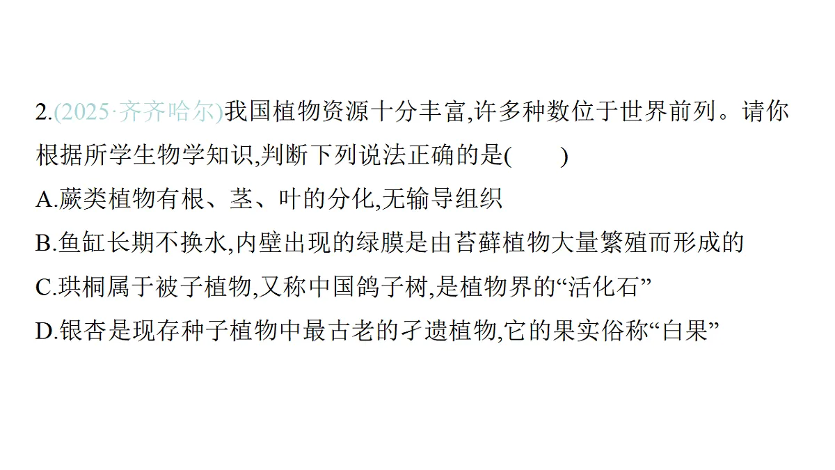 17559615第4页