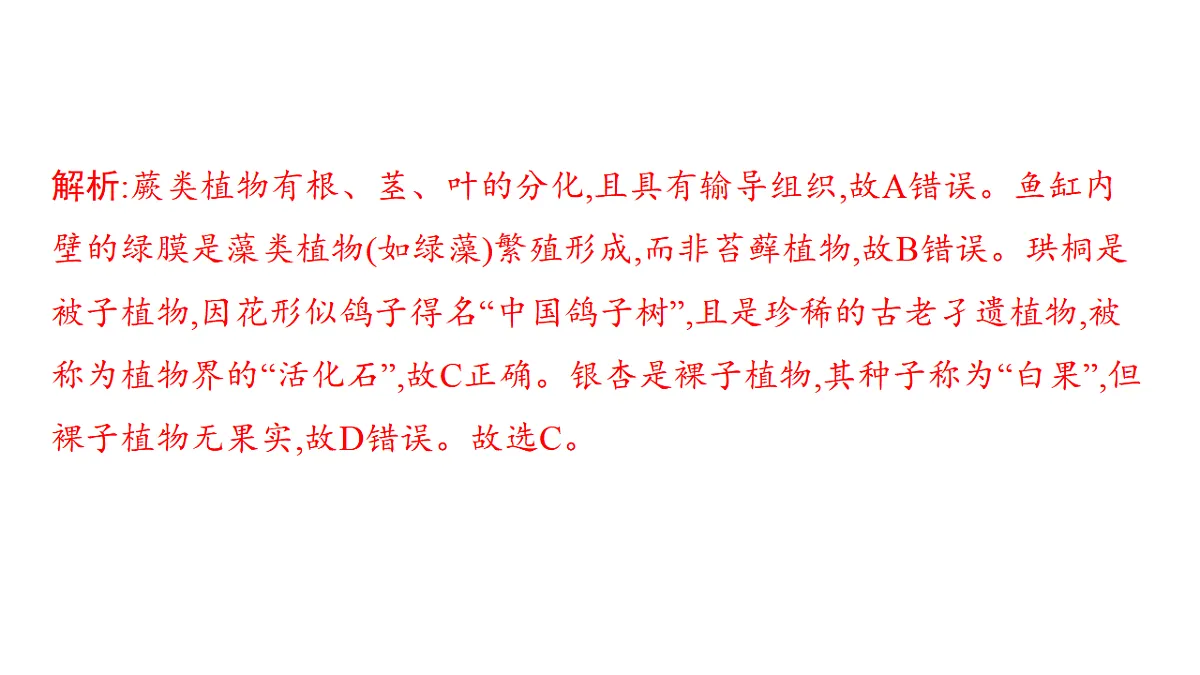 17559615第5页