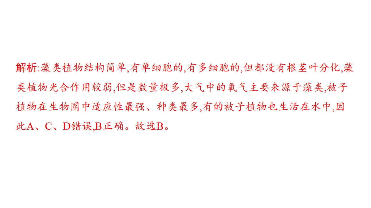17559615第7页
