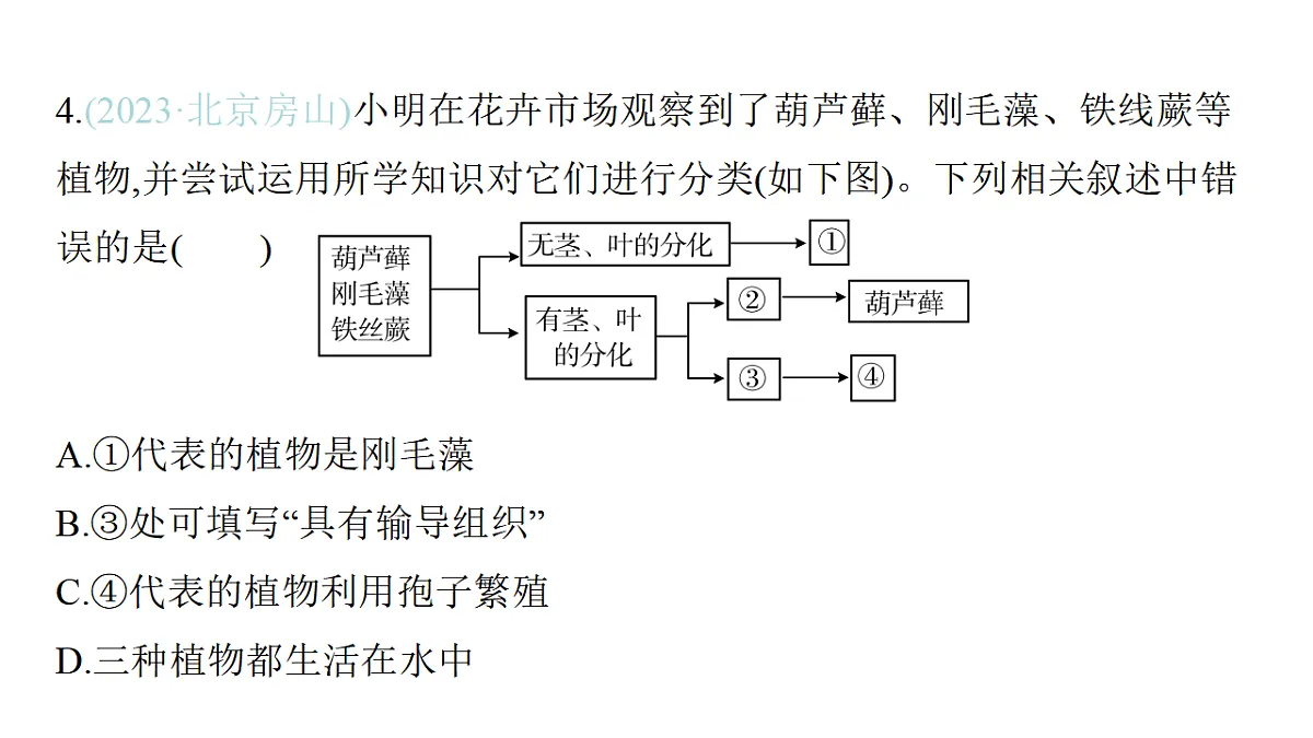 17559615第8页