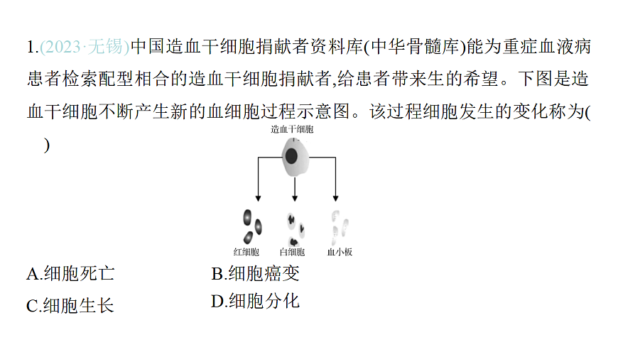 17559625第3页