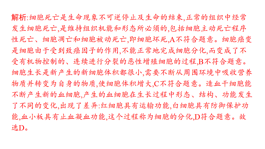 17559625第4页