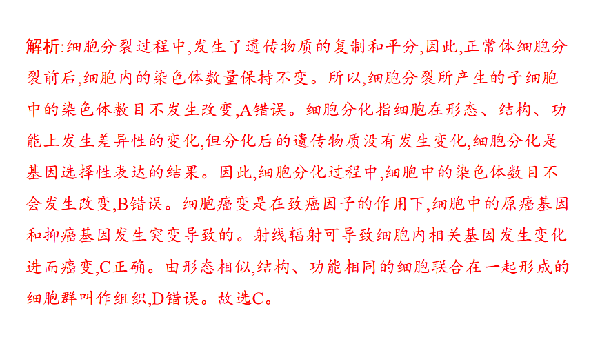 17559625第7页