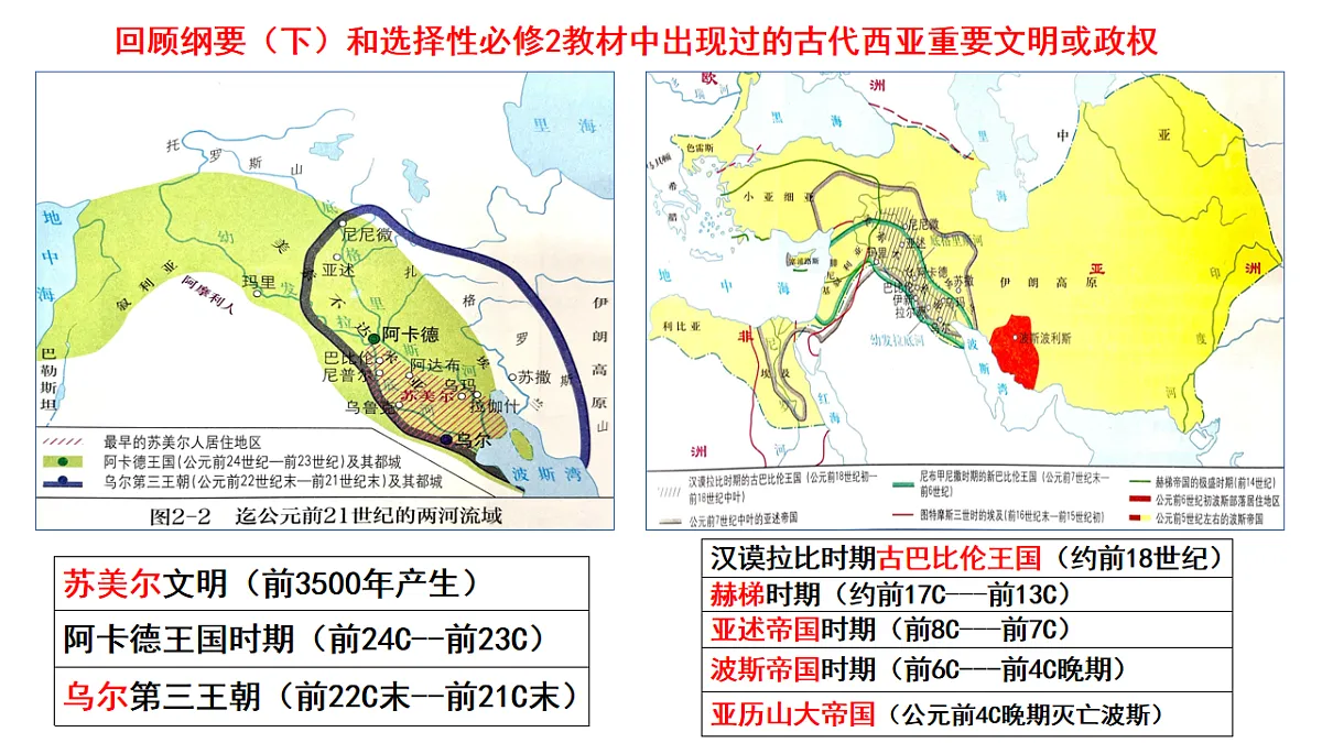 17560295第3页