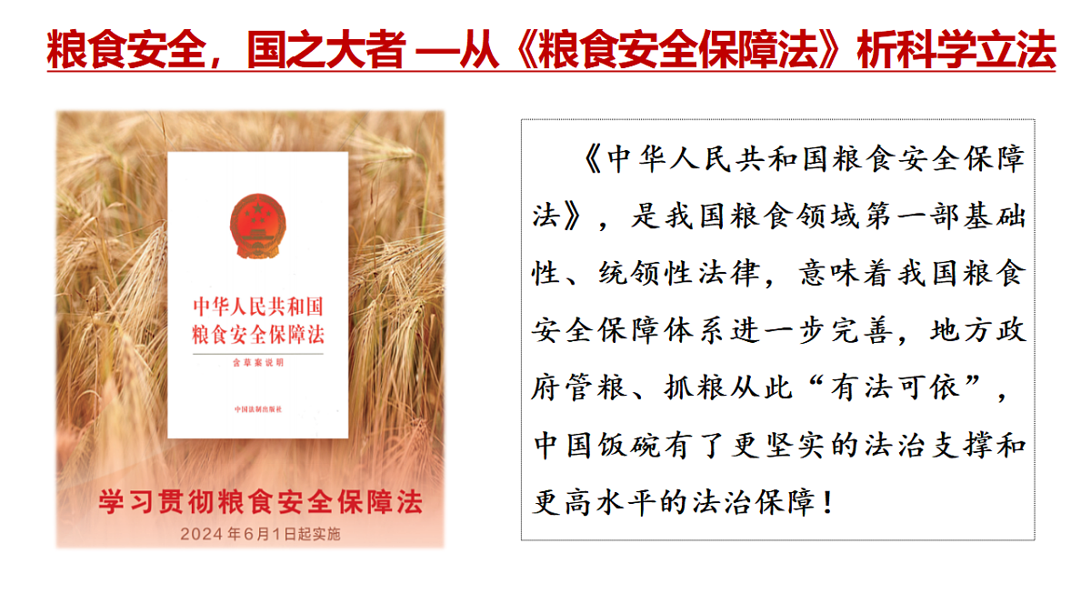 17560462第7页