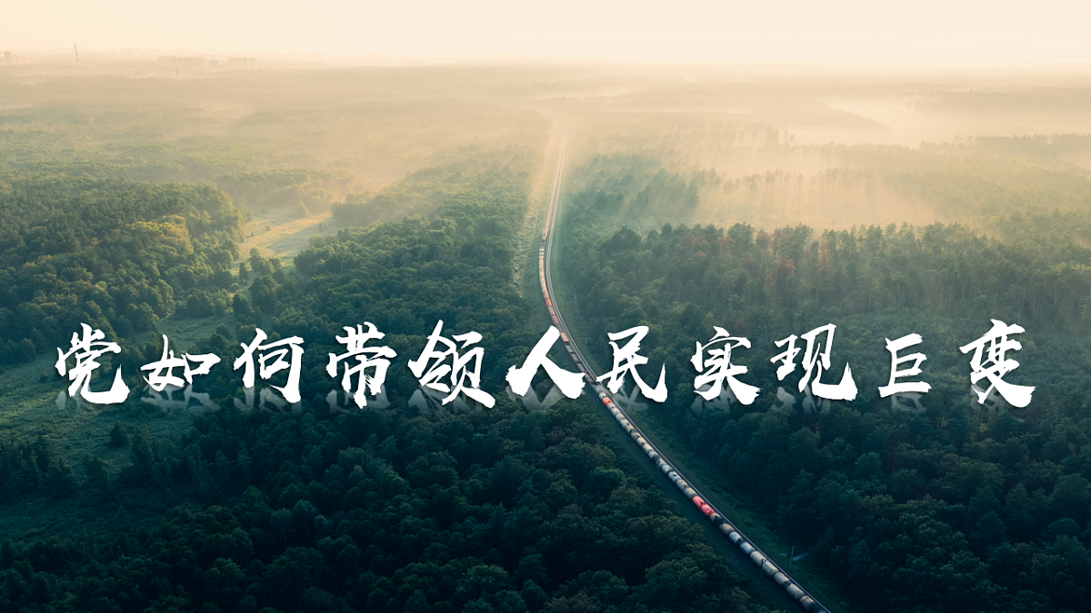 17561275第3页