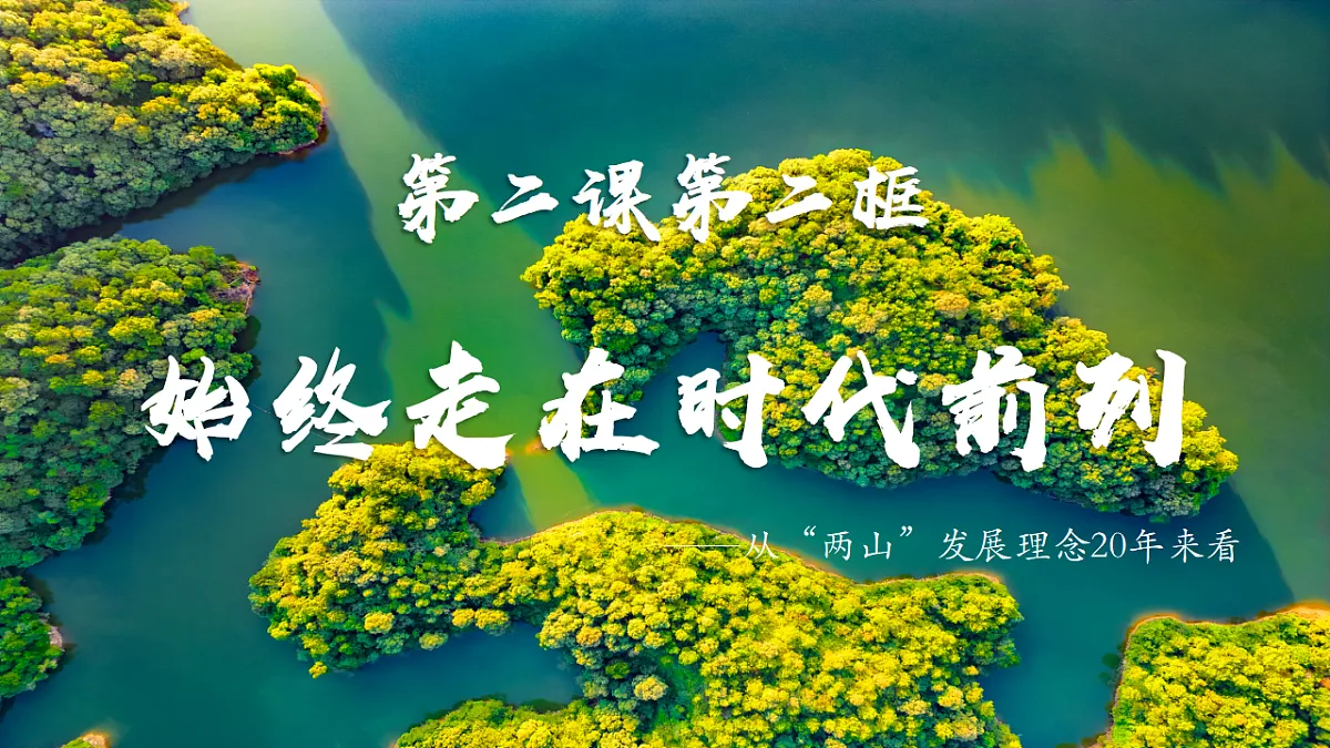 17561277第1页