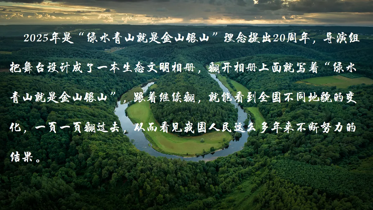 17561277第2页