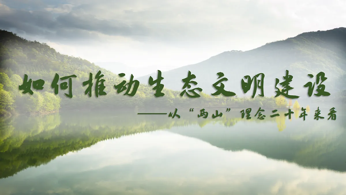 17561277第3页