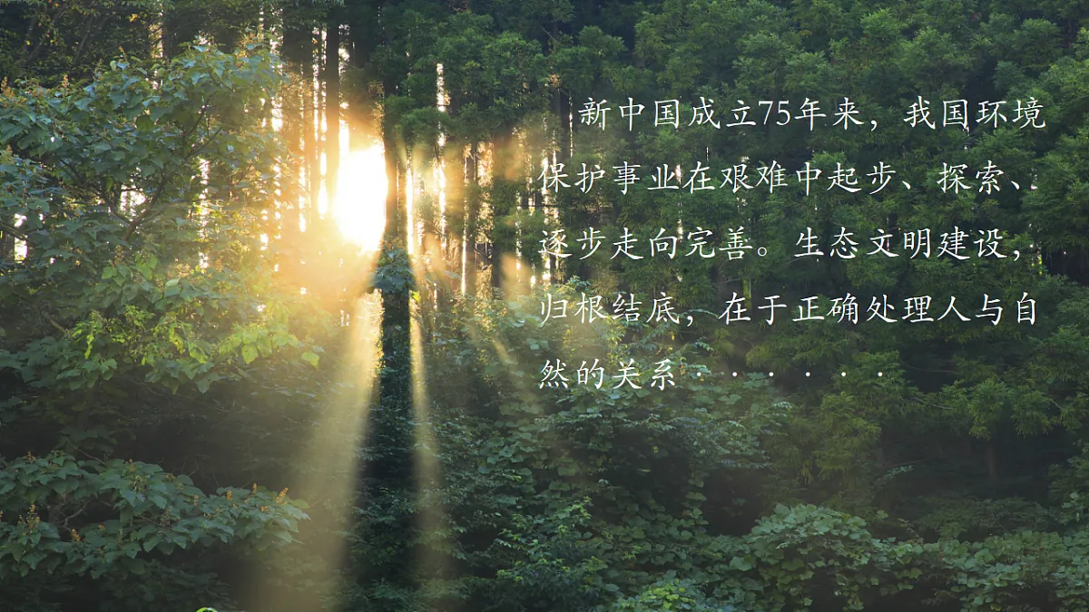 17561277第5页