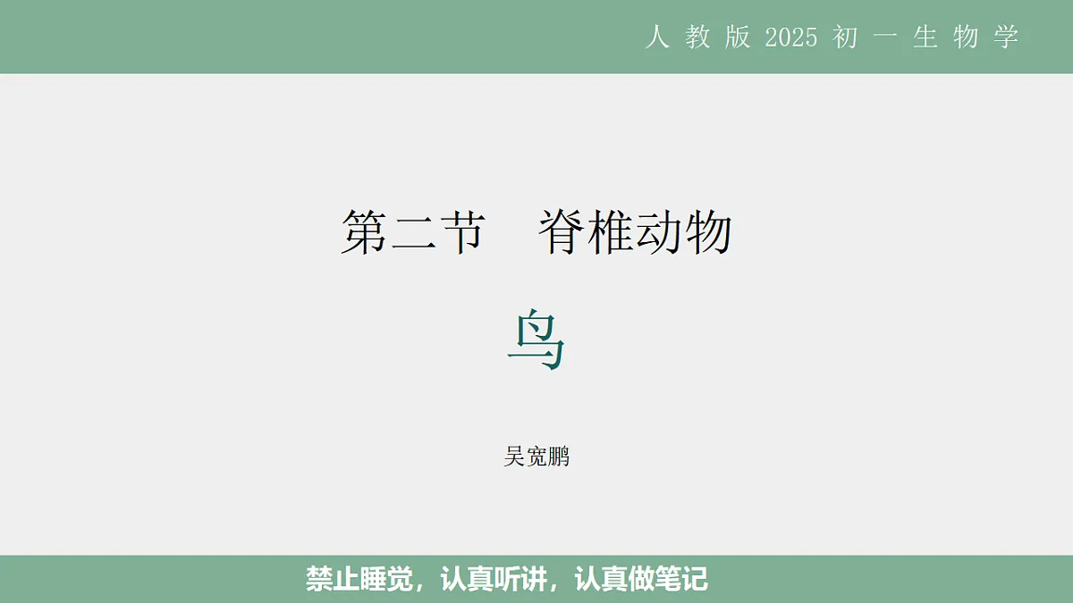 17561286第1页