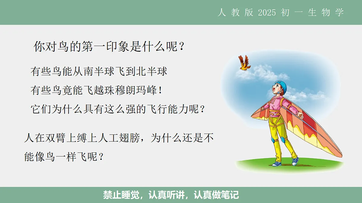 17561286第2页