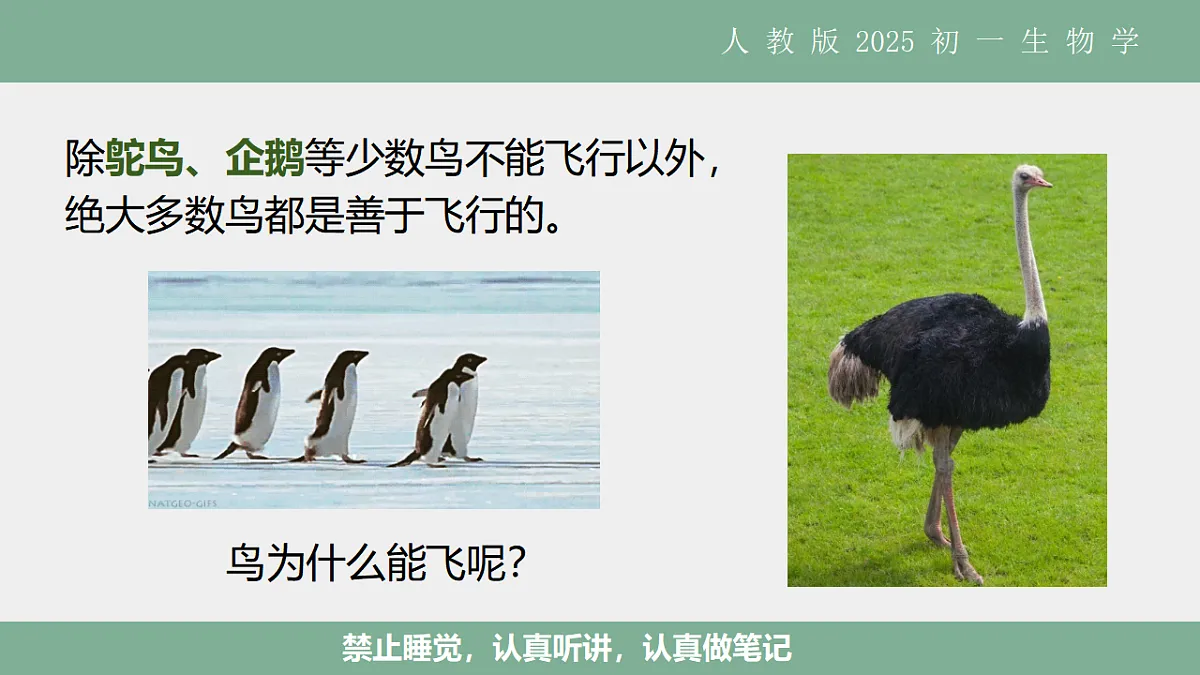 17561286第3页