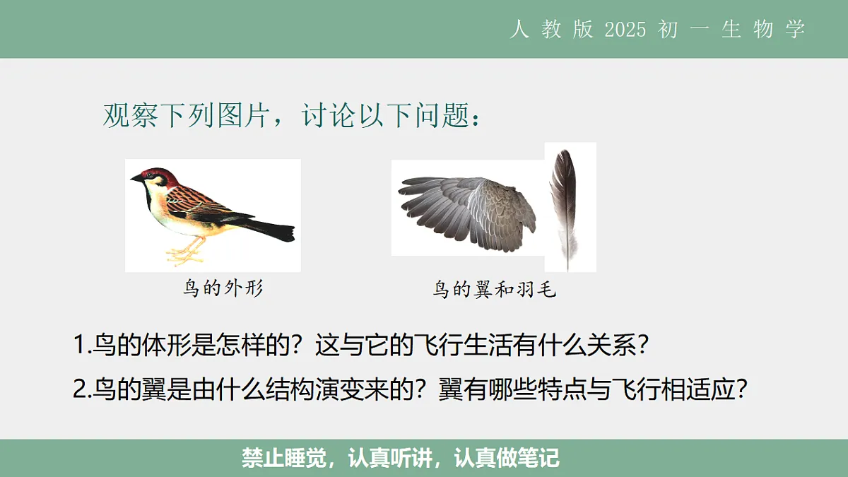 17561286第4页