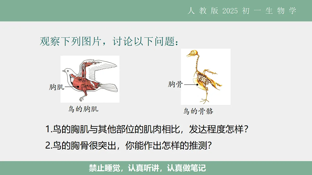 17561286第5页