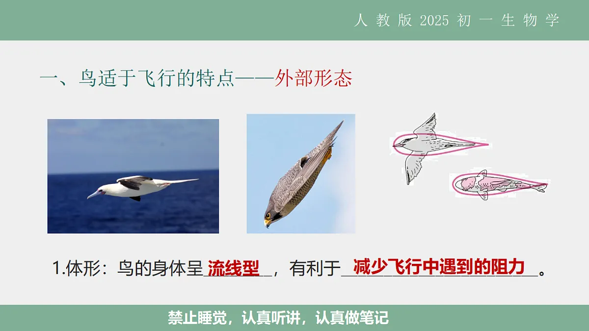 17561286第6页
