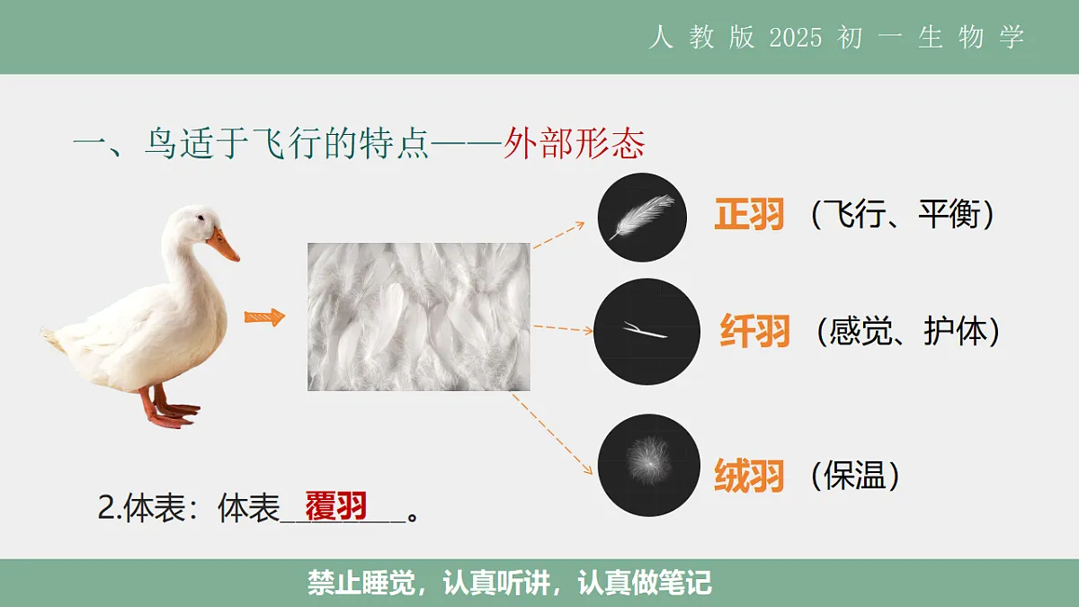 17561286第7页