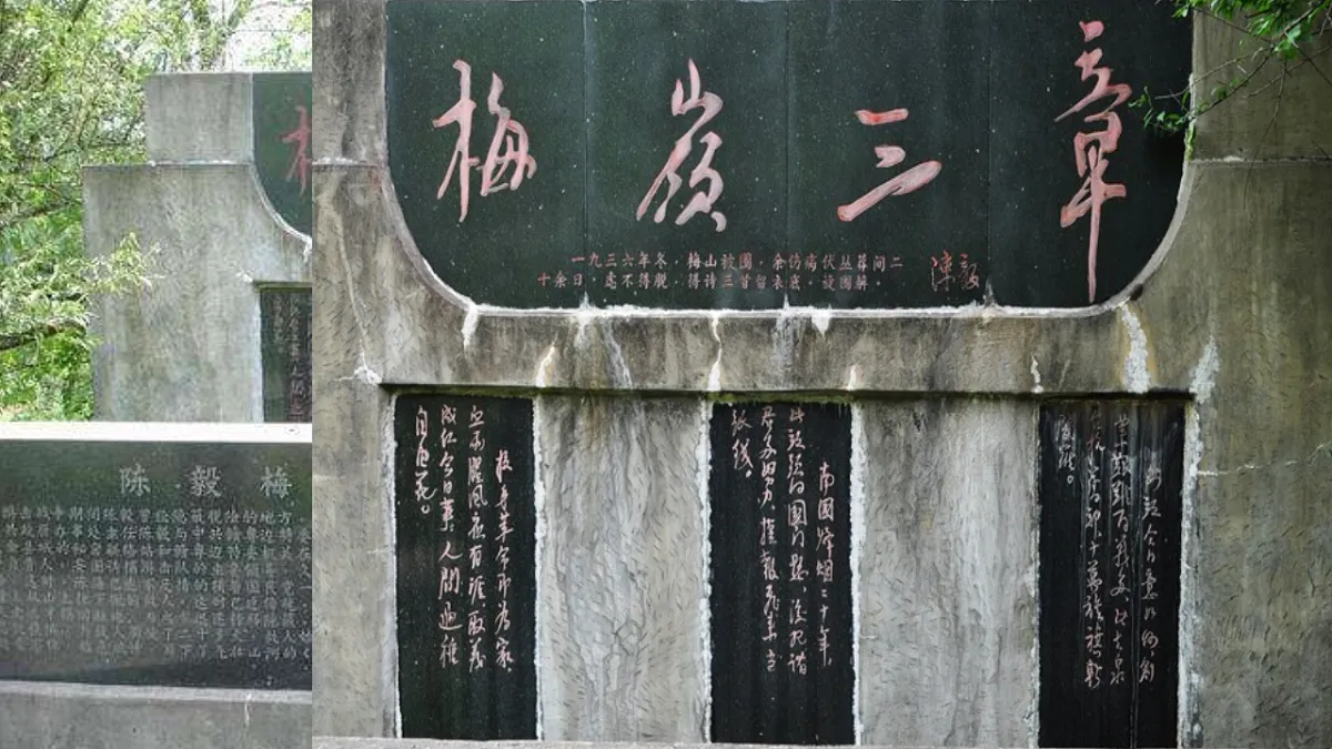 17561288第1页