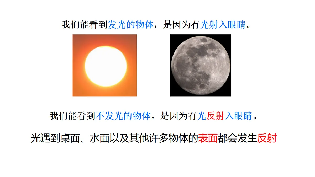 17561329第2页