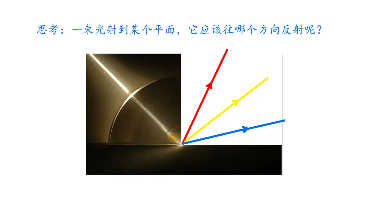 17561329第3页