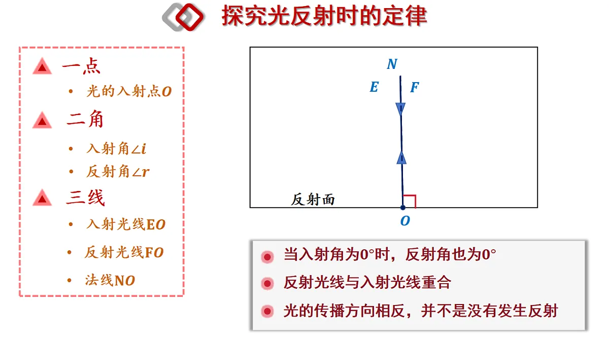17561329第7页