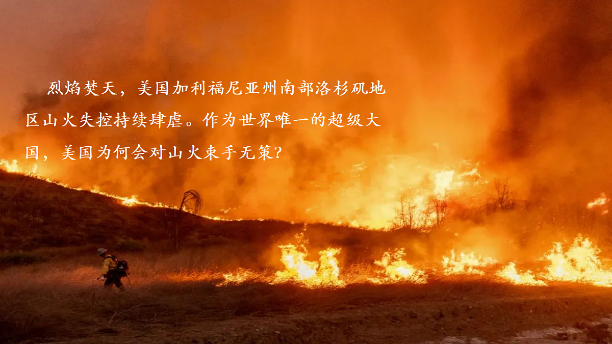 17561333第4页