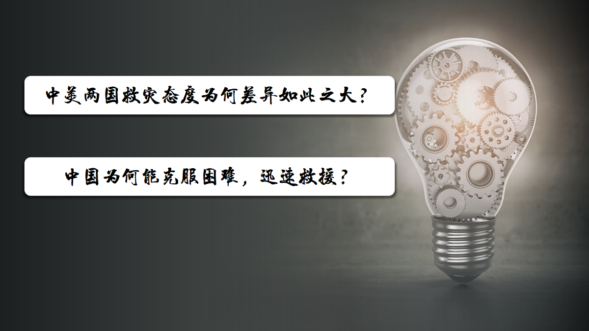 17561333第5页