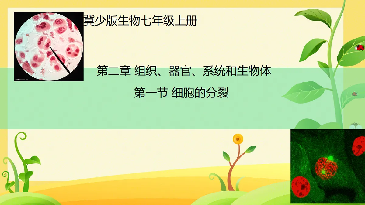 17561404第1页