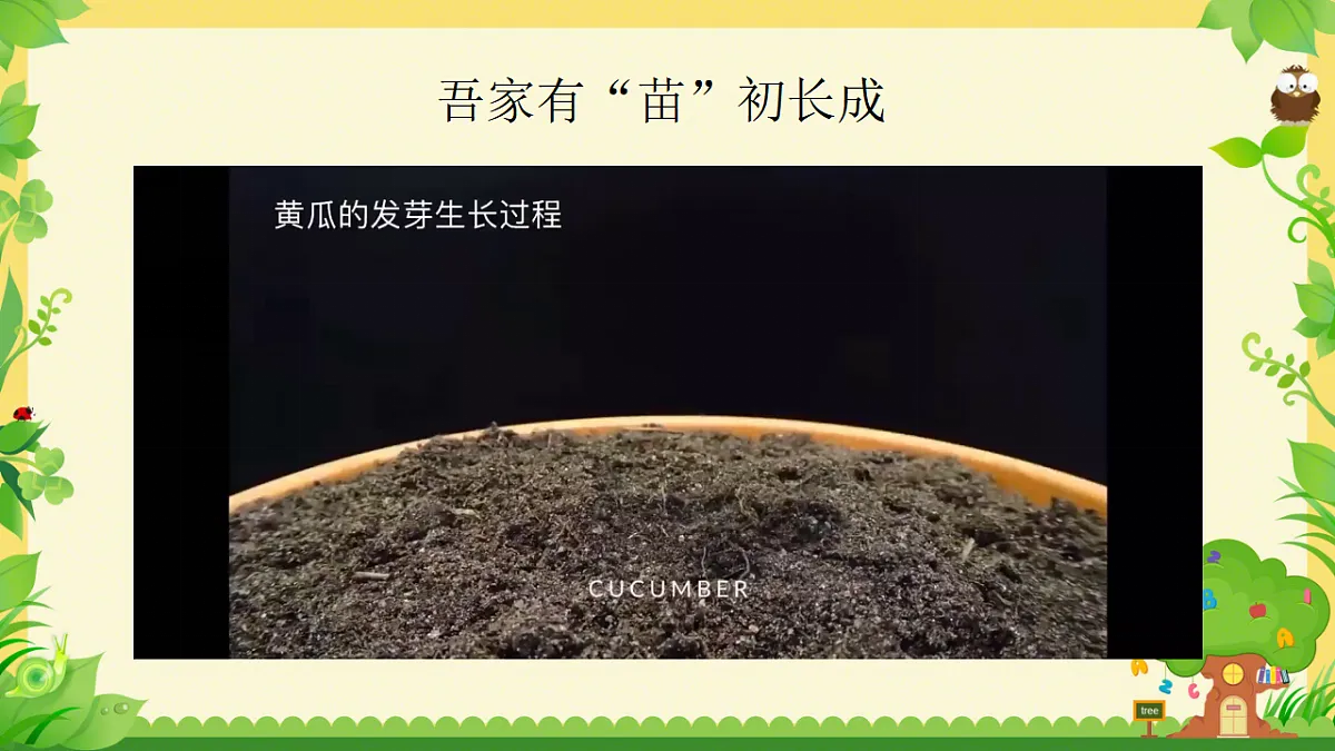 17561404第2页