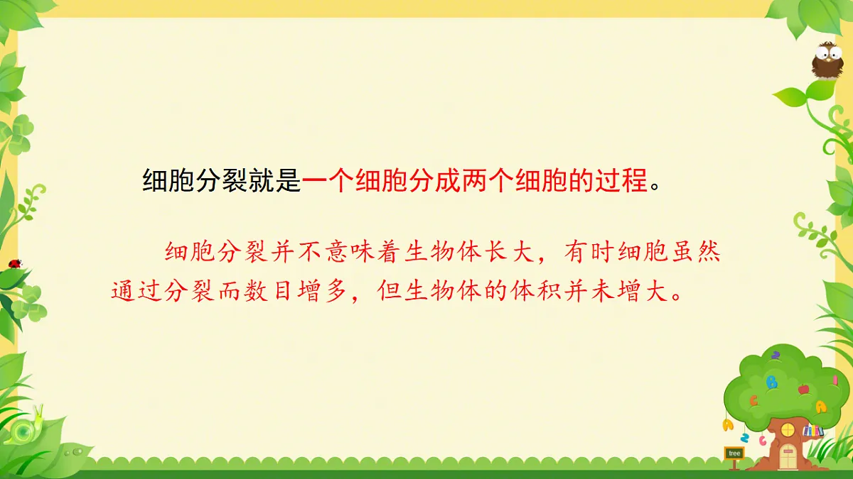 17561404第4页
