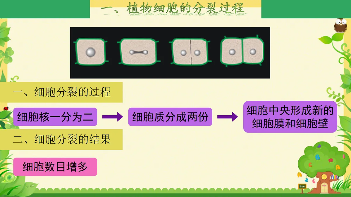 17561404第5页