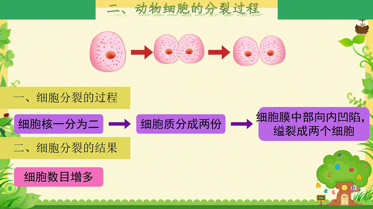 17561404第6页