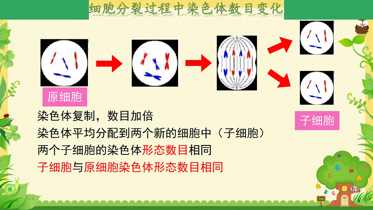 17561404第8页