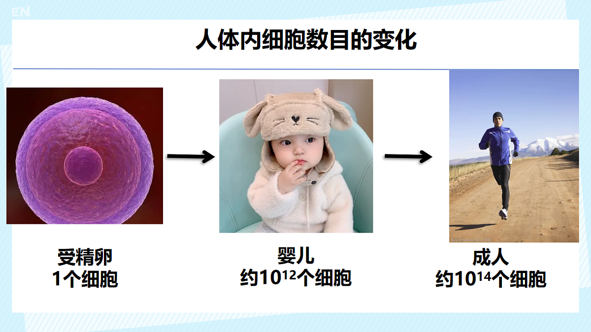 17561405第2页