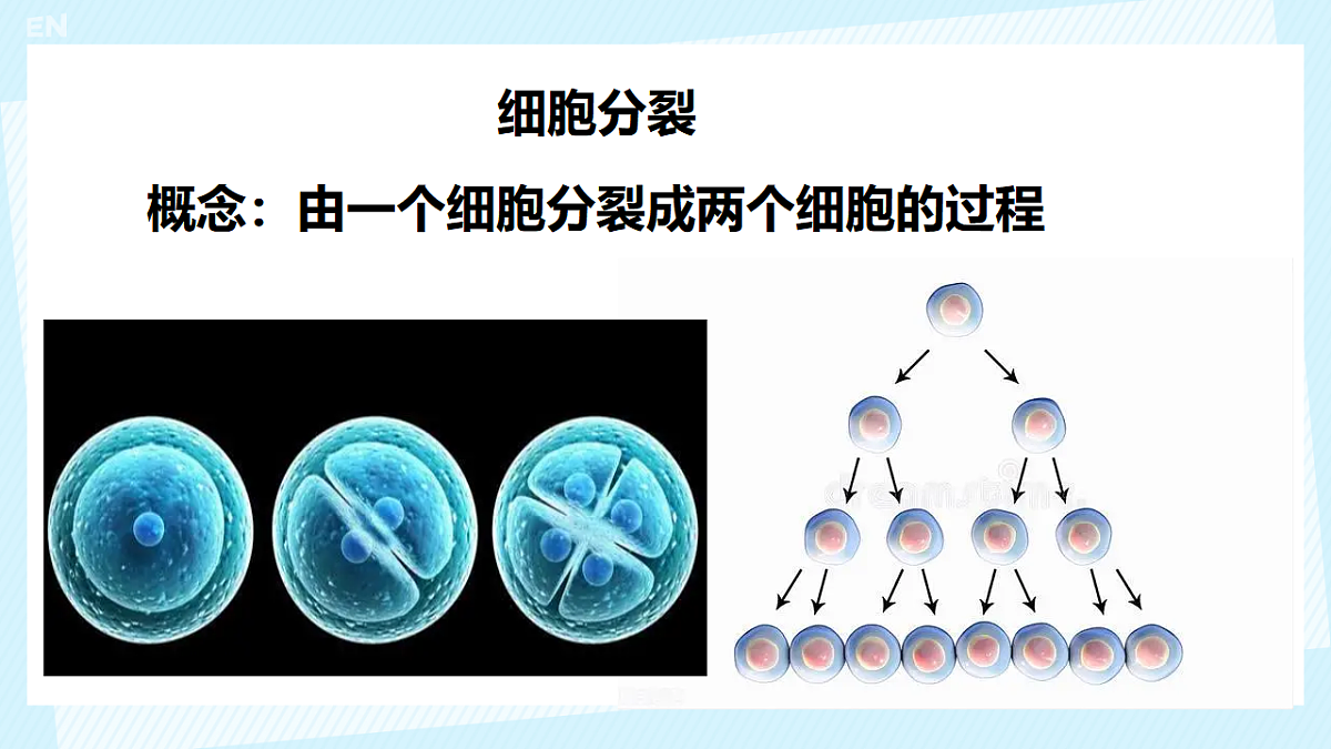 17561405第3页