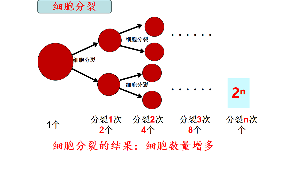 17561405第4页
