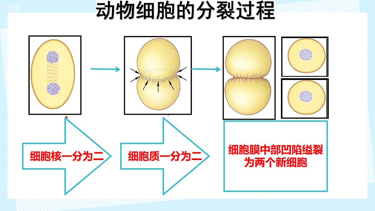 17561405第5页