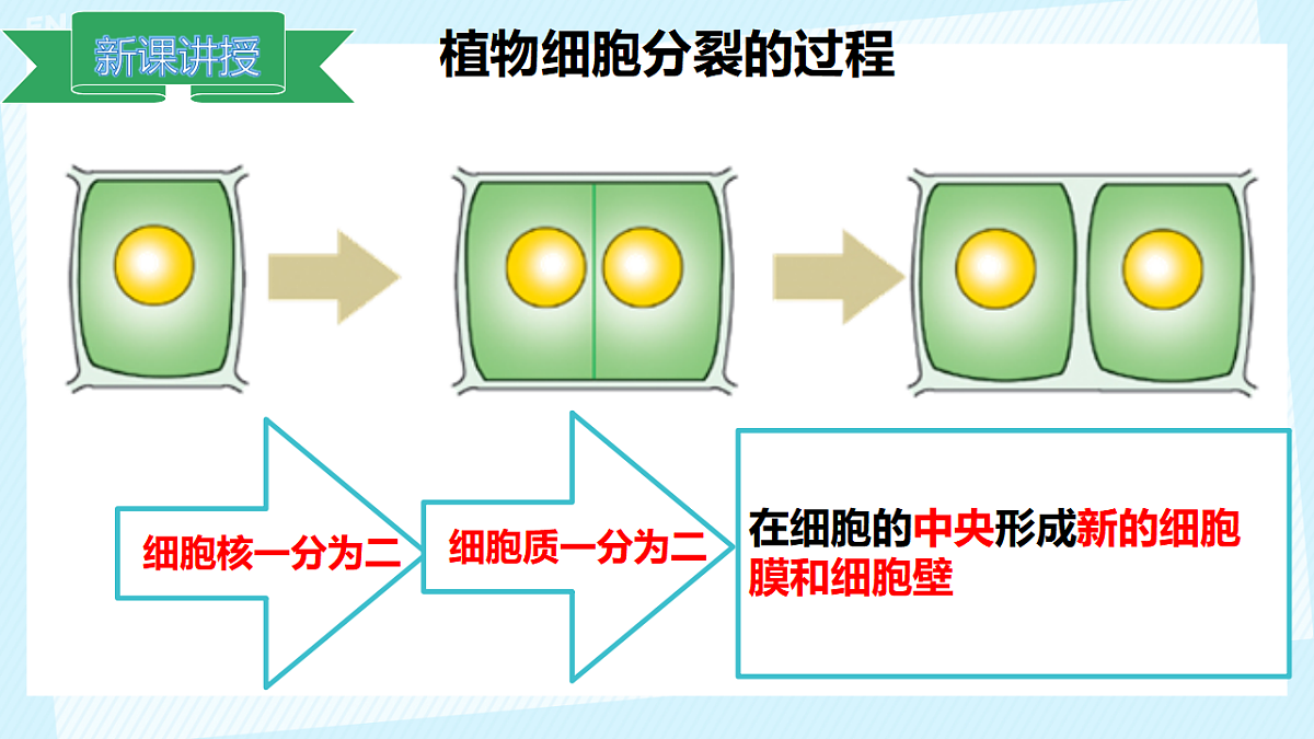 17561405第6页