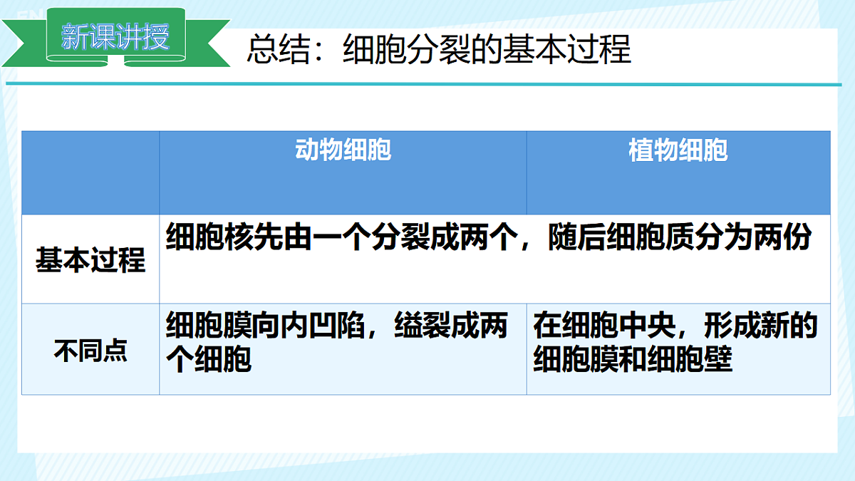 17561405第7页