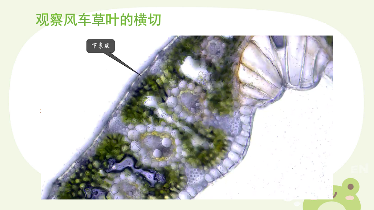 17561406第2页