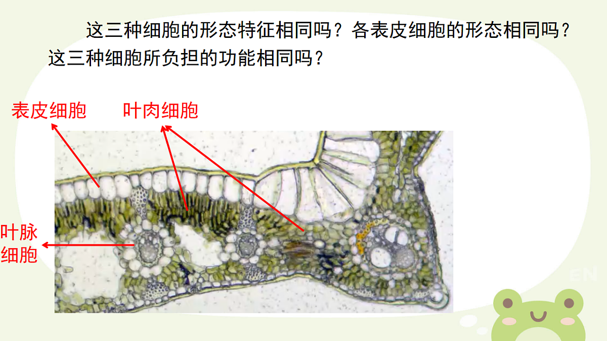 17561406第3页