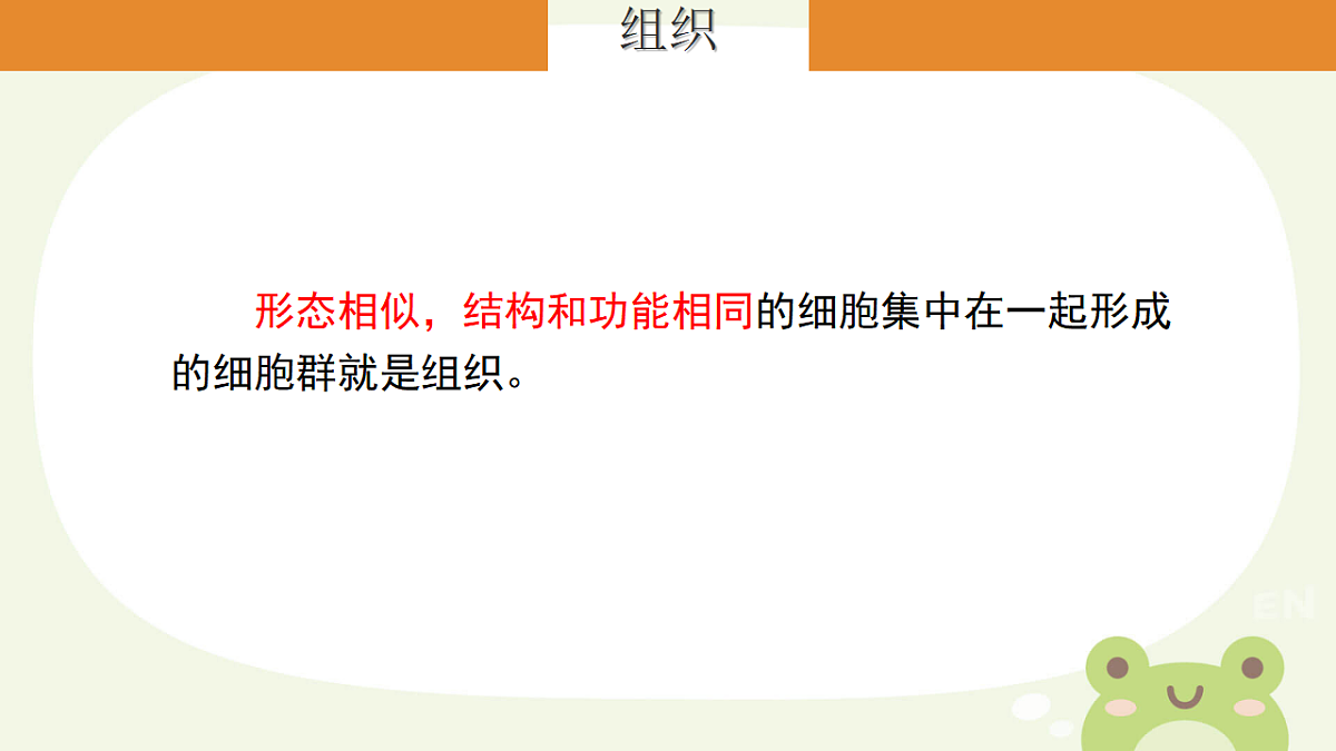 17561406第4页