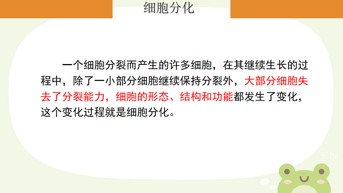 17561406第5页