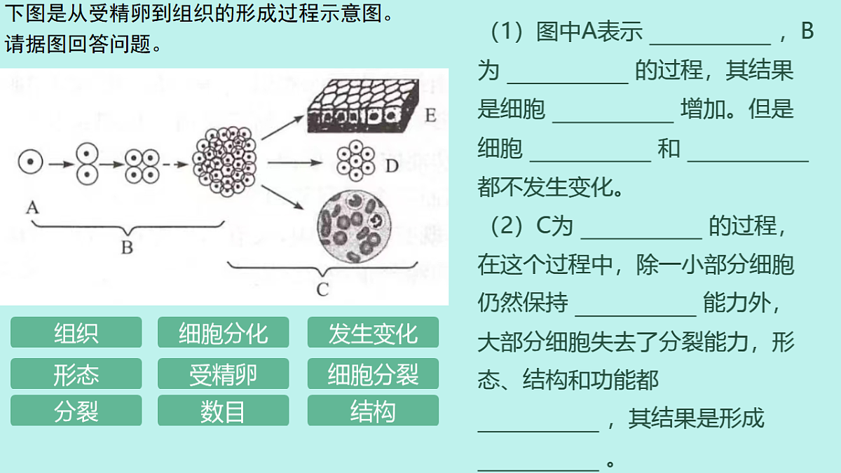 17561406第7页
