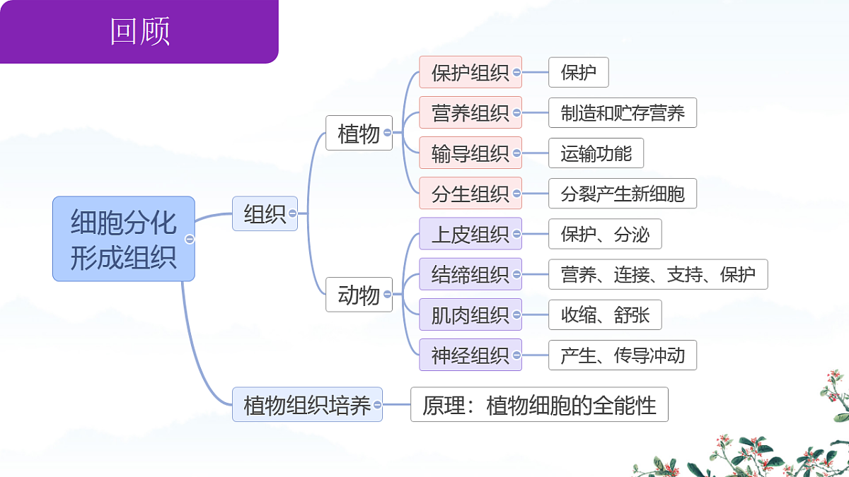 17561407第2页