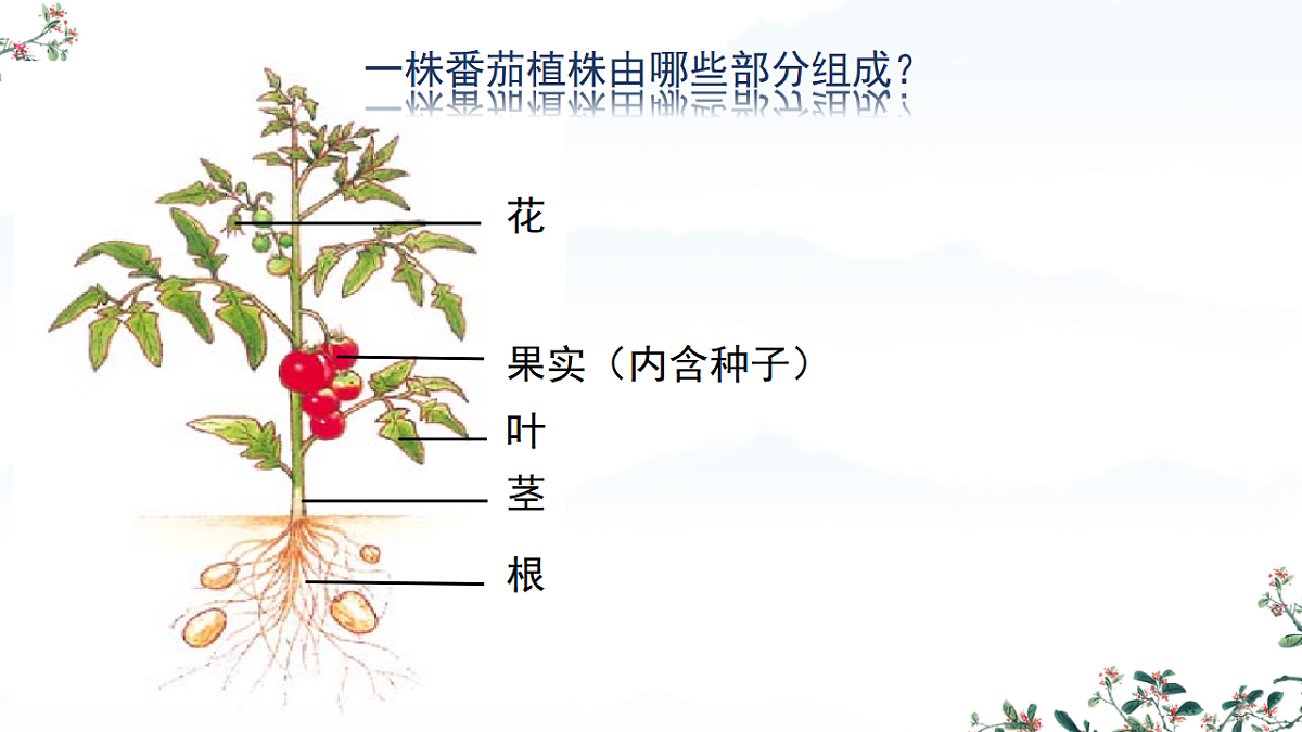 17561407第4页