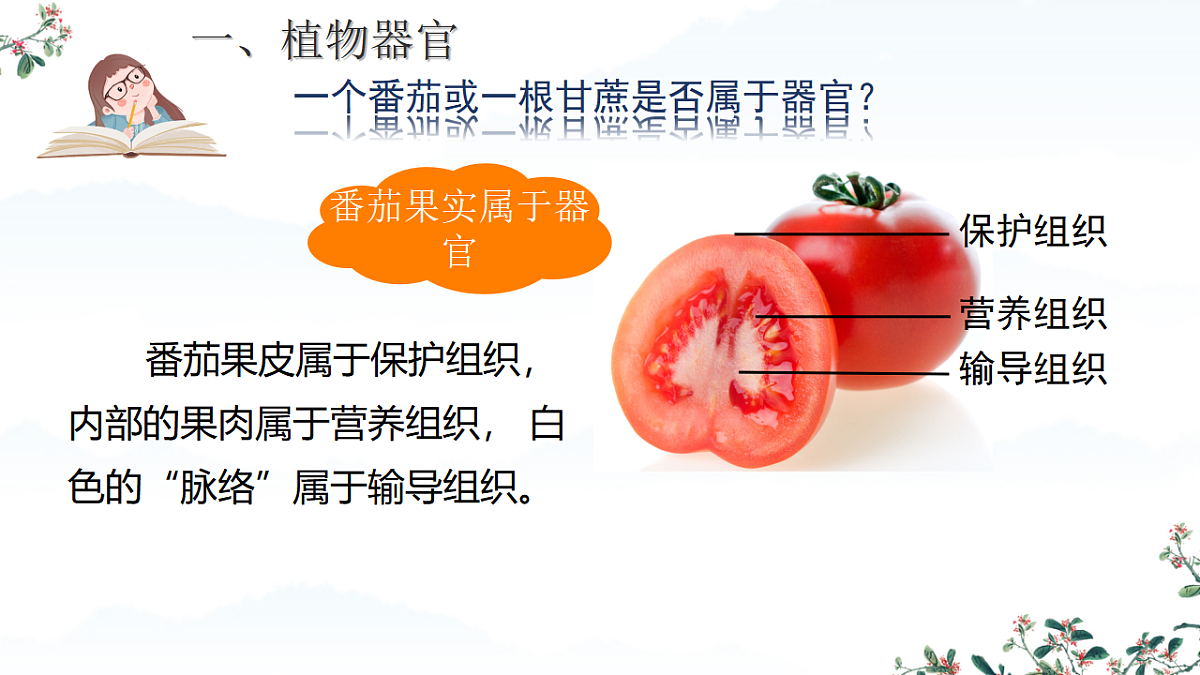 17561407第6页